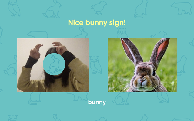 Version 01: a self-test feedback screen showing the user's own gesture next to a bunny photograph, with a 'Nice bunny sign!' label