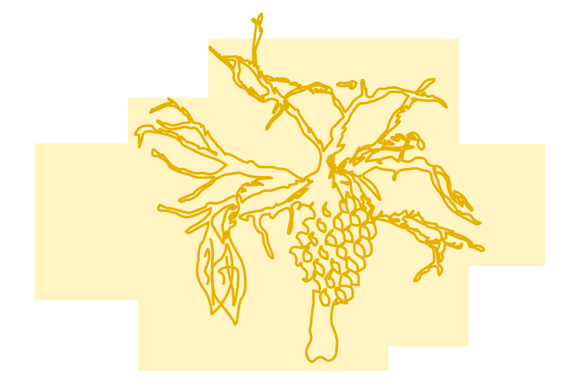 lastbee